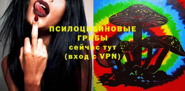 индика Абдулино